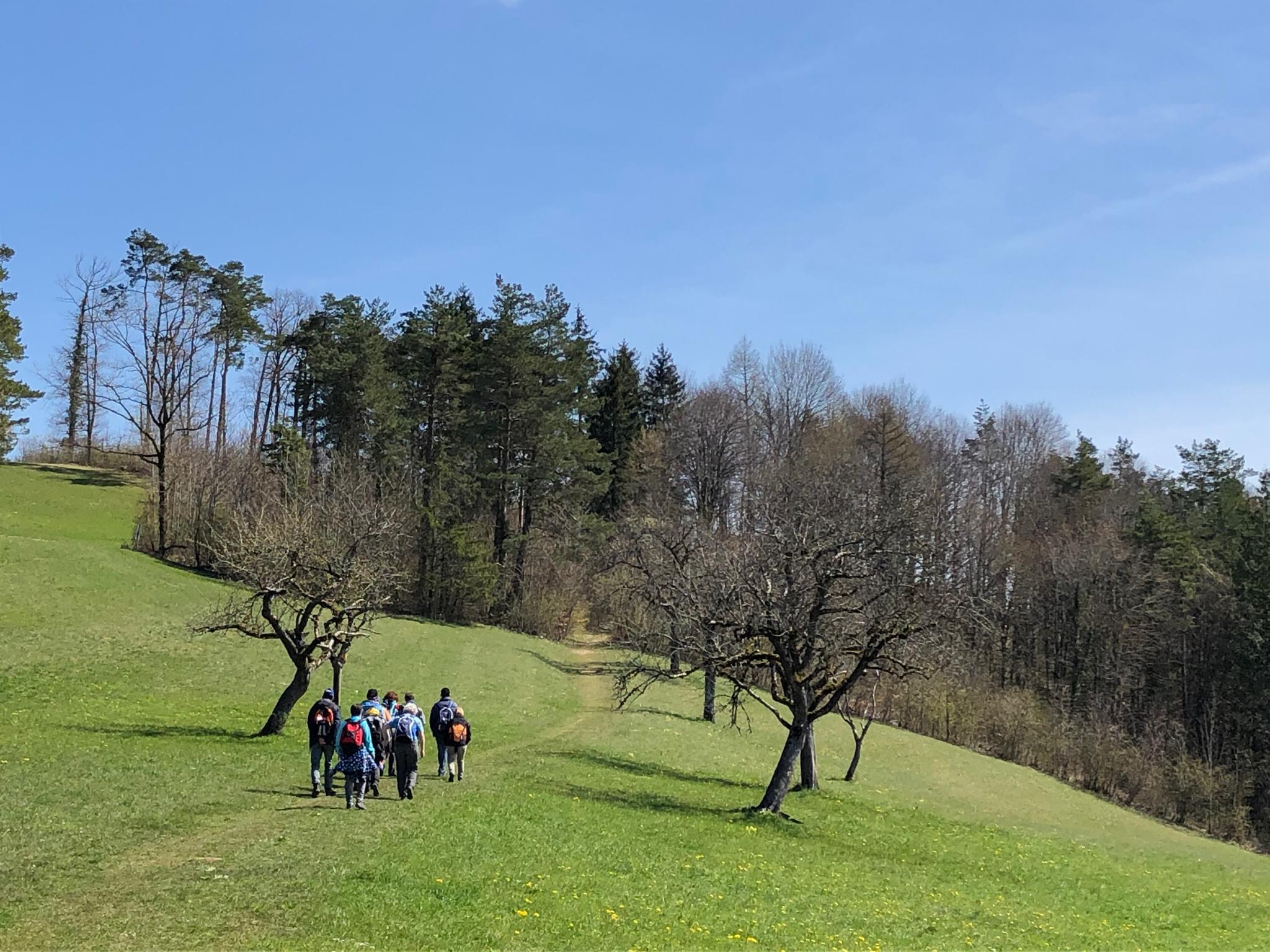 Fotos Wanderung 10 April 2021
